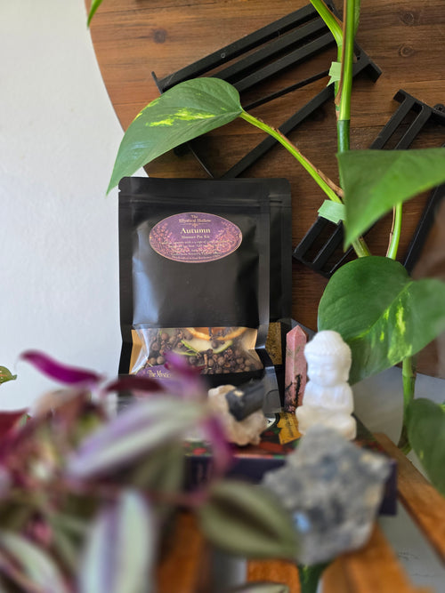 Autumn Simmer Pot Kit