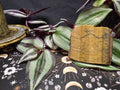 Tigers Eye- Raw