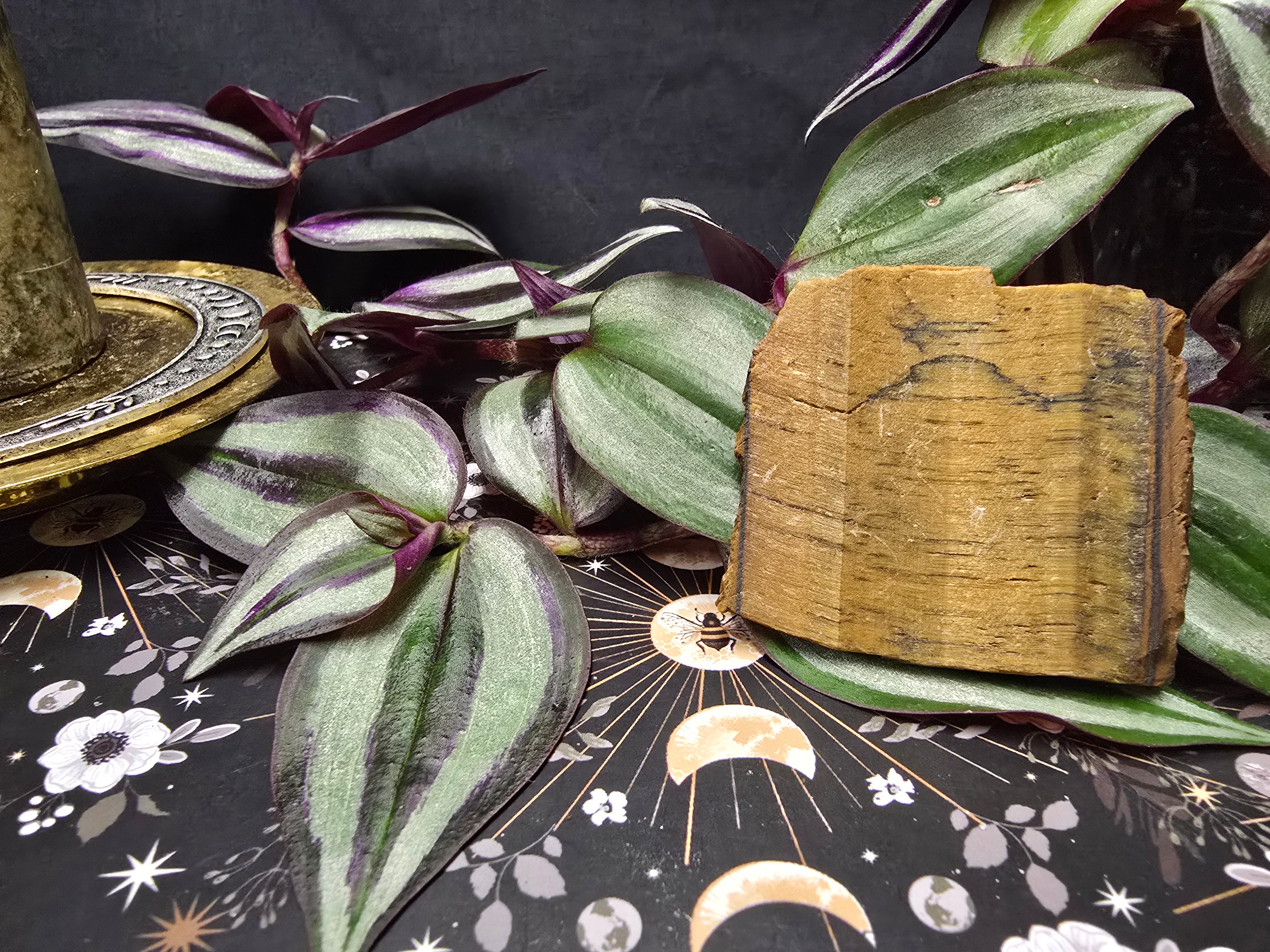 Tigers Eye- Raw