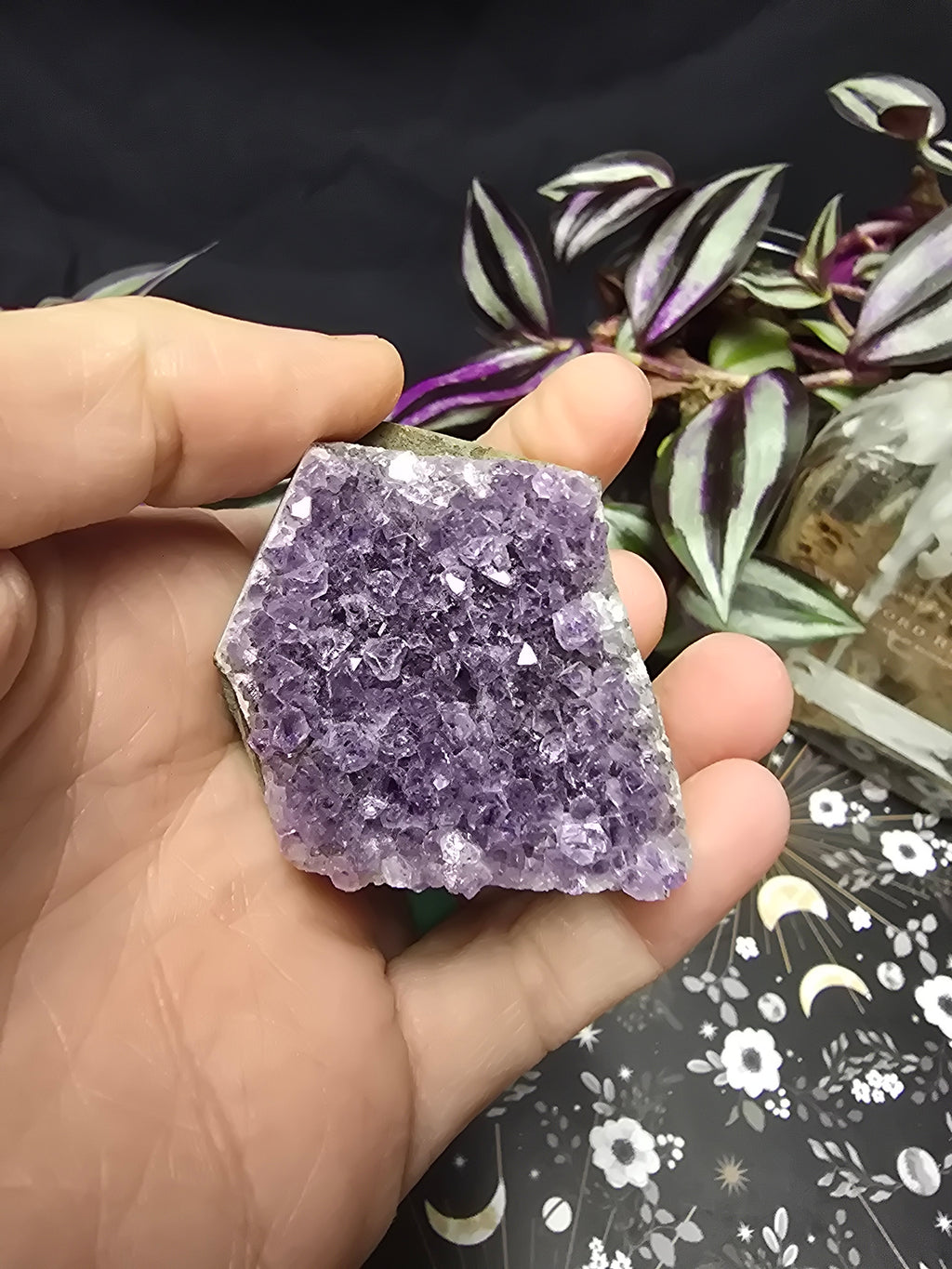 Amethyst Cluster