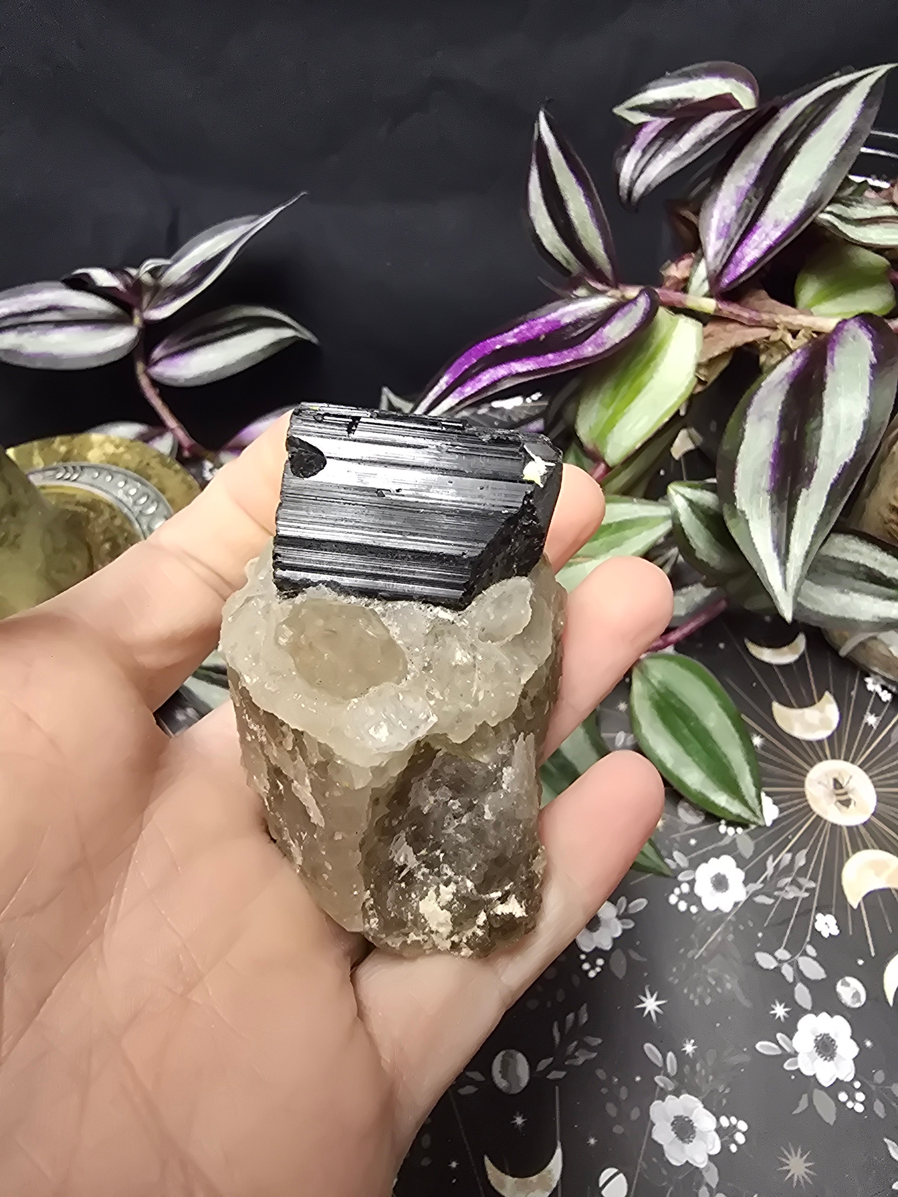 Black Tourmaline in Quartz
